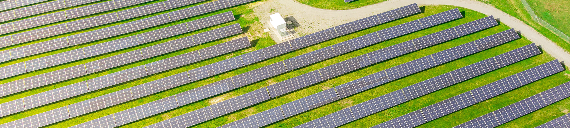 서브비주얼이미지